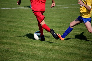 华体会app下载-LPL多个队伍重组计划曝光转会期极度混乱,lpl战队转会期