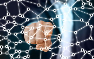 华体会登录入口-中国足球青训梯队人员年龄层结构，足球青训年龄段